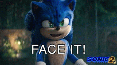 Face It Sonic GIF