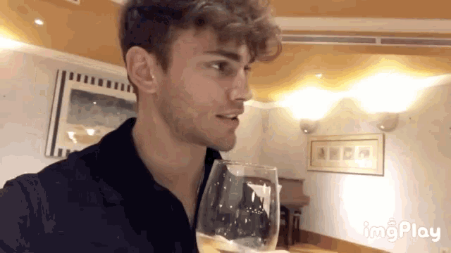 a man is drinking a glass of wine in a living room .