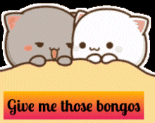 a cartoon of two cats with the words give me those bongos