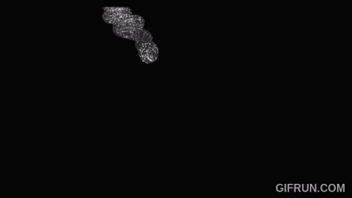 a black and white image of a snake on a black background