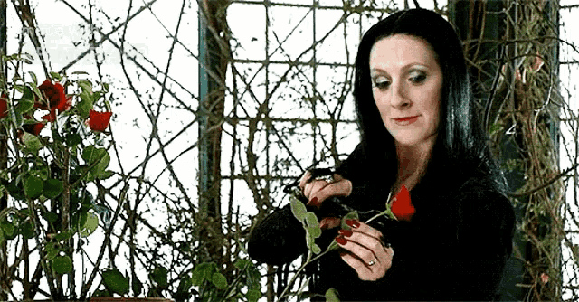 a woman in a black dress is holding a red rose in front of a plant .