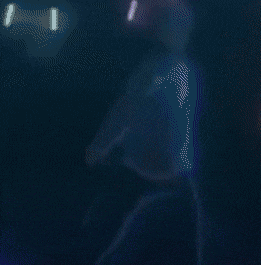 a person is standing on a stage holding a microphone and dancing .