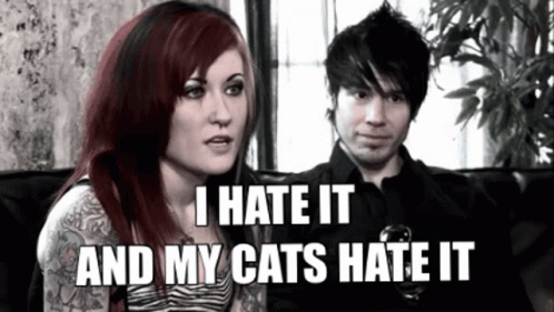 Hate Cats GIF - Hate Cats Cat GIFs