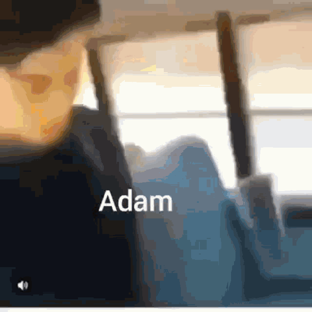 Adam Promin GIF - Adam Promin GIFs