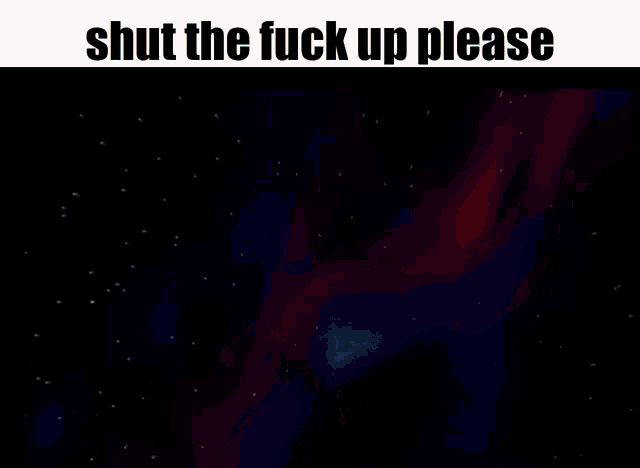 a screenshot of a video game with the words shut the fuck up please
