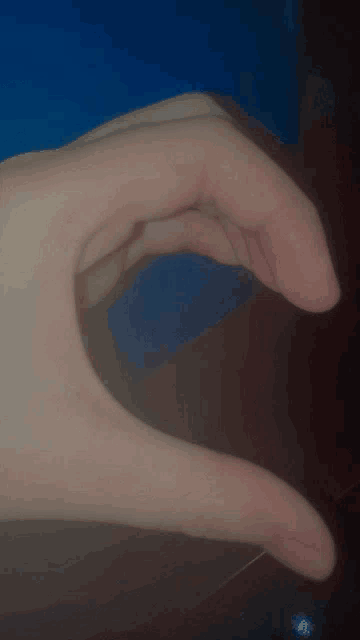 a hand making a heart shape with its fingers