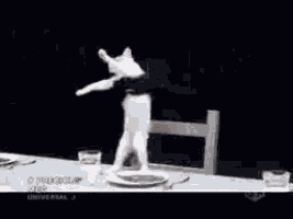 a cat is standing on its hind legs on a table with a plate of food on it .