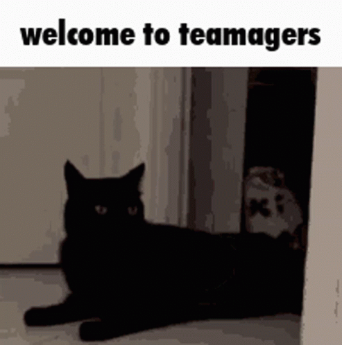 Teamagers Kidnap GIF