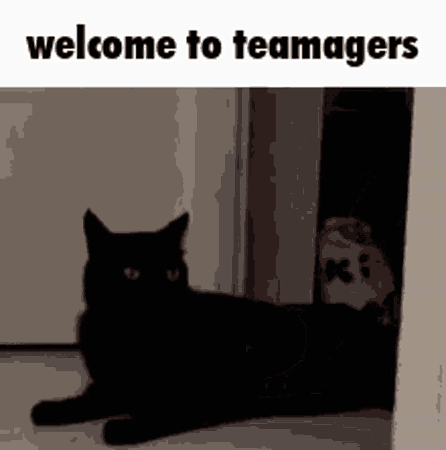 a black cat is laying on the floor in a dark room with the words welcome to teamagers above it .