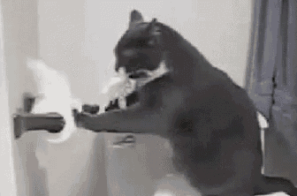 a cat is sitting on top of a toilet holding a roll of toilet paper .