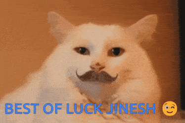 a cat with a mustache and the words " best of luck jinesh " below it