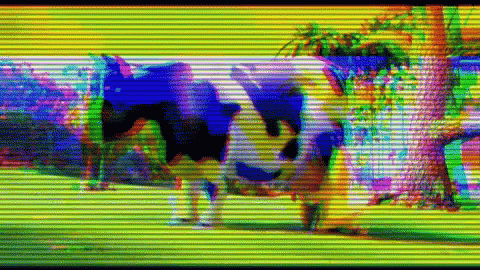 Cow Milk GIF - Cow Milk Angrybird GIFs