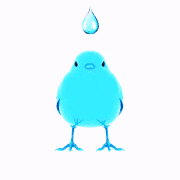 a close up of a purple bird with a blue beak