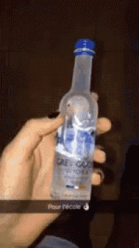 a person holding a bottle of grey goose vodka