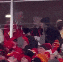 a group of people are sitting in a stadium watching a hockey game