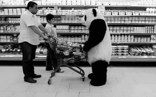 Panda Hates Your Cart GIF - Panda Enojado GIFs