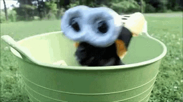 Cute Dog Masked GIF - Cute Dog Masked Costume GIFs