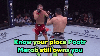 two men fighting in a boxing ring with the words know your place pootr merab still owns you