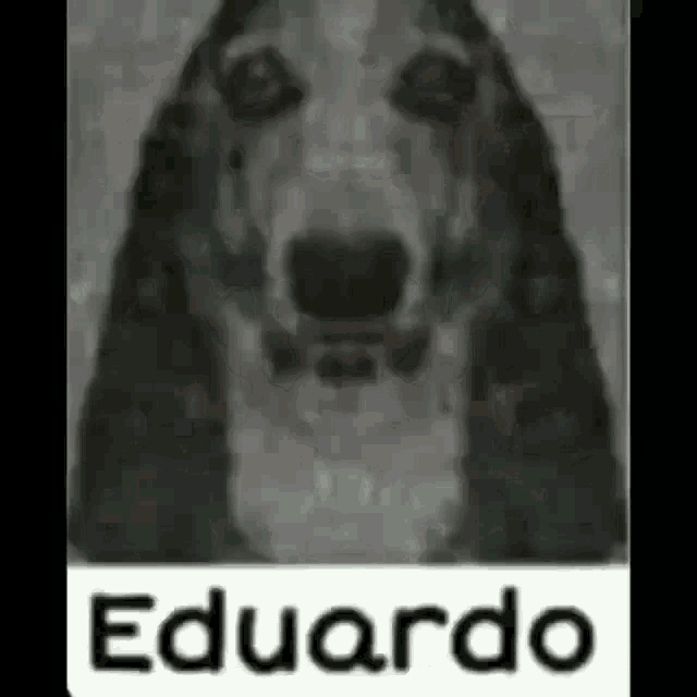 Eduardo GIF - Eduardo GIFs