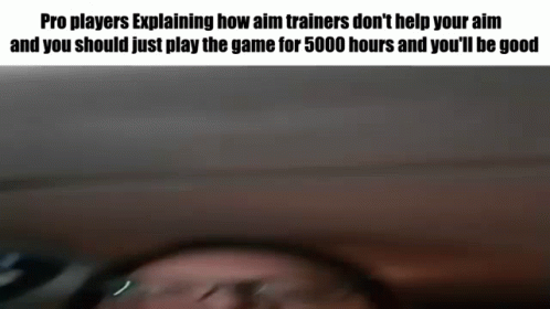 Pro Players Aim Trainer GIF - Pro Players Aim Trainer Explaining GIFs