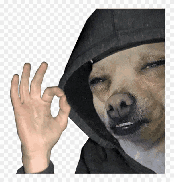a person wearing a hooded jacket giving an ok sign