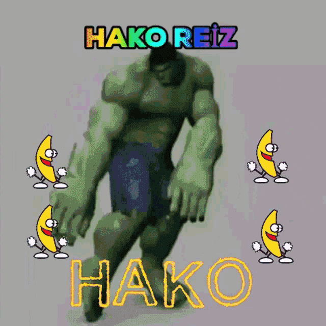 Haktan Hako GIF - Haktan Hako Hako Reiz GIFs