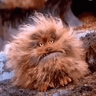 Fizzgig The Dark Crystal GIF - Fizzgig The Dark Crystal Pay Attention To Me GIFs