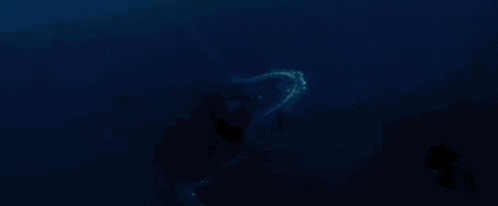 a humpback whale is swimming in the ocean with a car shaped hole in its mouth .