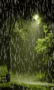it is raining in a park at night with a street light in the background .