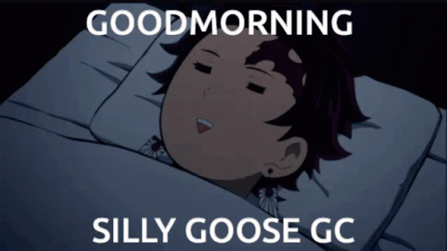 Goodmorning Goodmorning Silly Goose Gc GIF