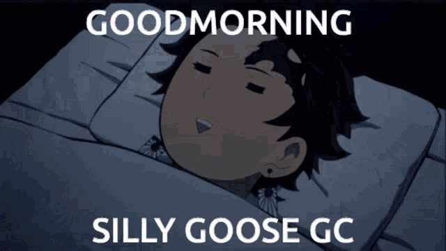 a poster that says good morning silly goose gc in white letters