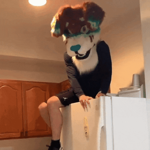 a person in a furry dog costume sitting on a refrigerator