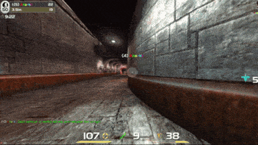 a screenshot of a video game with a score of 107 points
