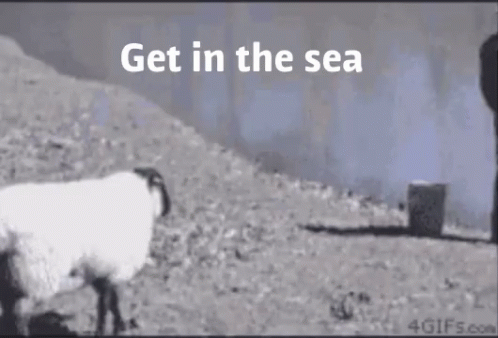 Get In The Sea Fuck Off GIF - Get In The Sea Fuck Off Go Away GIFs