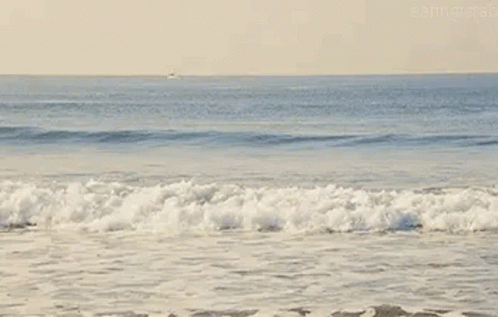 Beach Waves GIF - Beach Waves Ocean GIFs