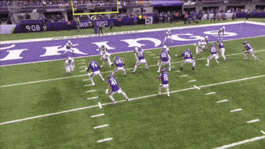 a football game is being played on a purple field