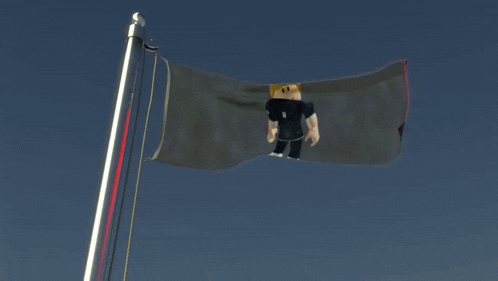a flag with a picture of a person on it