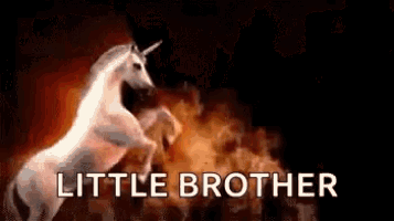 a unicorn is standing on its hind legs in front of a fire and the words little brother