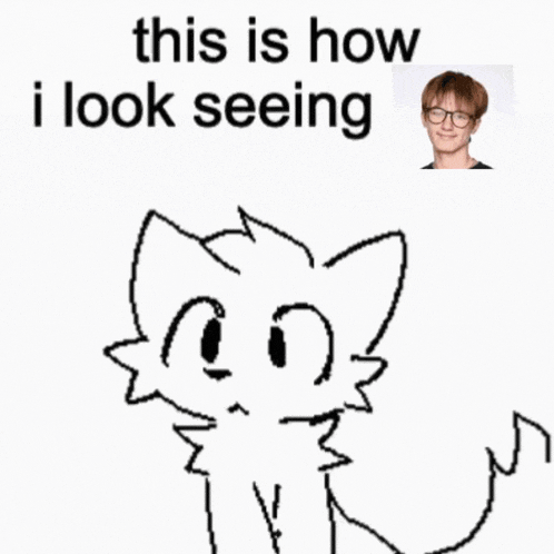 a drawing of a cat with the words " this is how i look seeing " next to it
