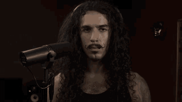 a man with long curly hair and a mustache singing into a microphone