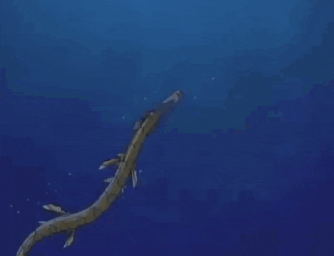 a robotic shark is swimming in the ocean with its mouth open