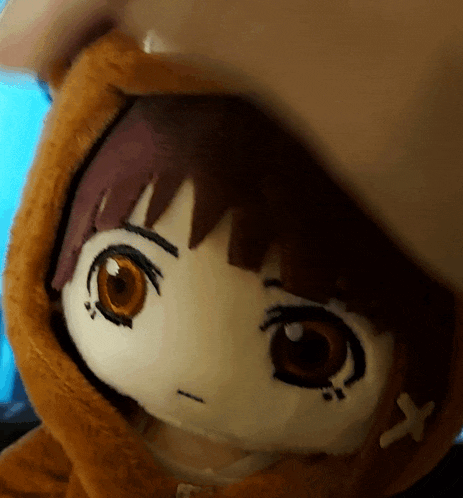 a close up of a stuffed animal with a hood
