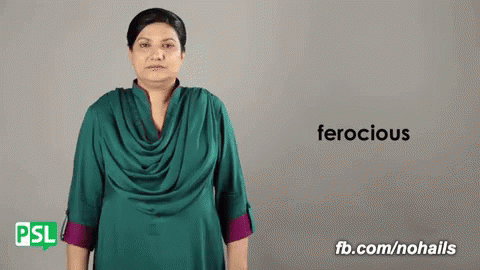 Ferocious Pakistan Sign Language GIF - Ferocious Pakistan Sign Language Nsb GIFs