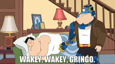 Wakey Gringo GIF - Wakey Gringo America GIFs
