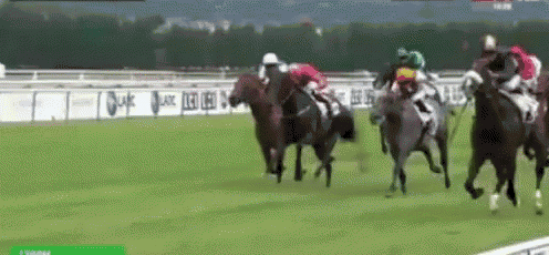 Horse Racing GIF - Horse Racing Cheval GIFs