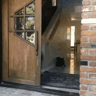 a cat is sitting in the doorway of a brick house