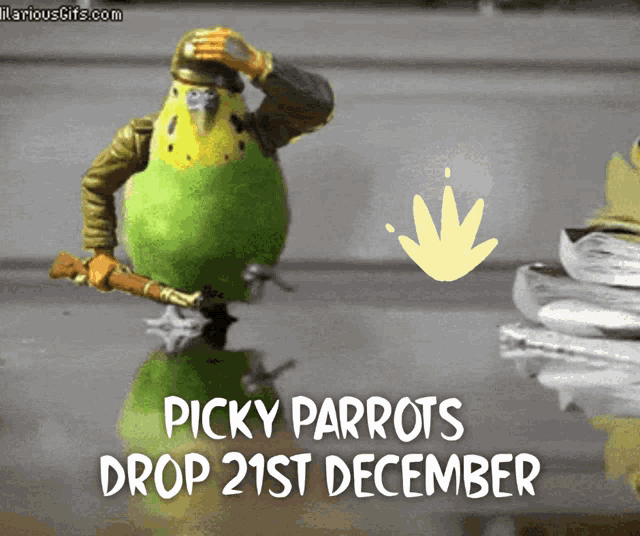Picky Parrots Parrot GIF - Picky Parrots Picky Parrot Parrot GIFs