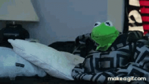 Kermit Sleep GIF