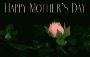 a pink rose with the words happy mother 's day in the background