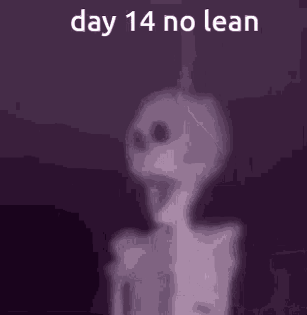 No Lean Day14no Lean GIF - No Lean Day14no Lean GIFs